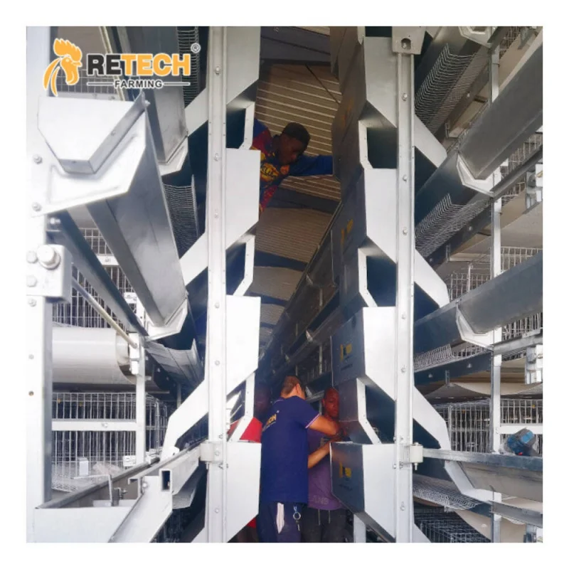 

Farming Equipment Poultry Automatic H Type Battery Cages Chicken Cage