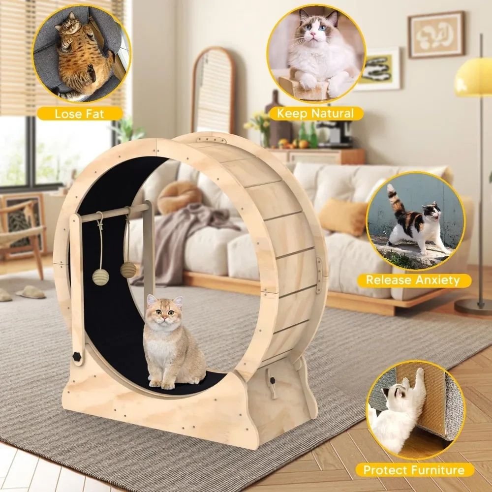 Toys for Cats Cat Running Wheel Treadmill With Carpeted Runway and Cat Teaser Pet Toy Accessories Things Products Supplies Home