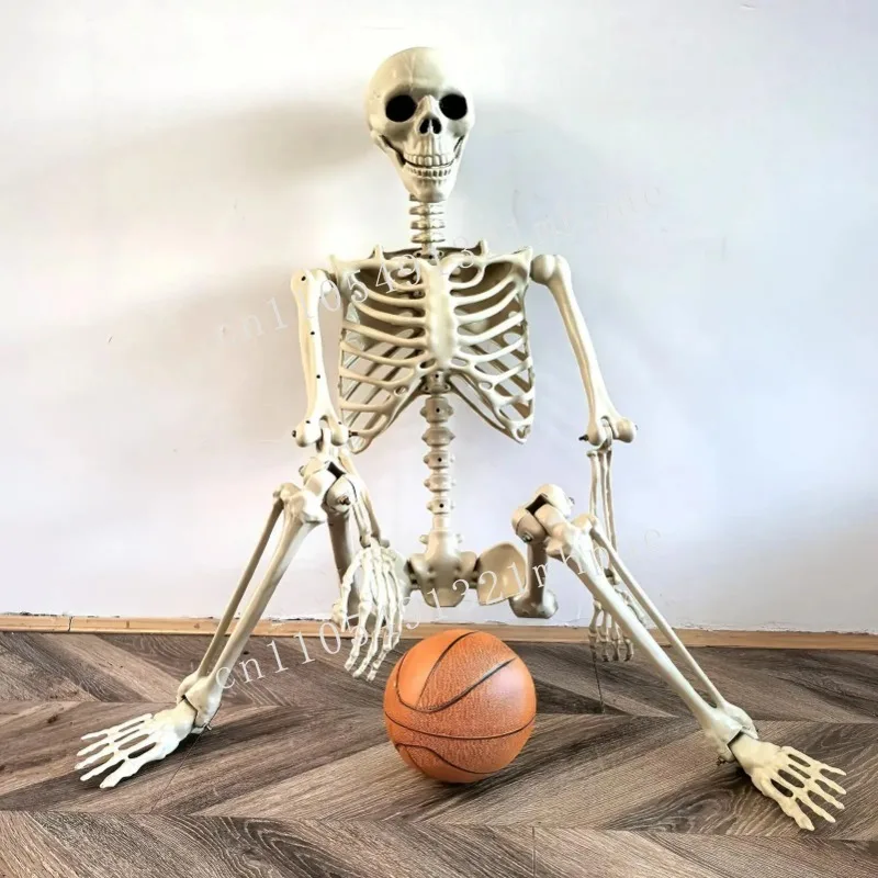 

Happy skeleton for Halloween Full Body Posable Skeleton Modeling Humanoid Skeleton Decorative Props for Halloween Party Supplies