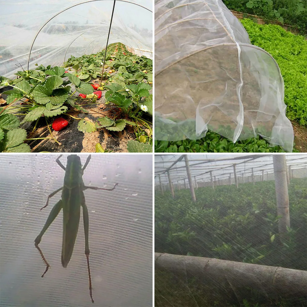 Insect Protection Net Garden Plant Insect Vegetables Fruit Flower Protection Greenhouse Cover Control Pest Anti-Bird