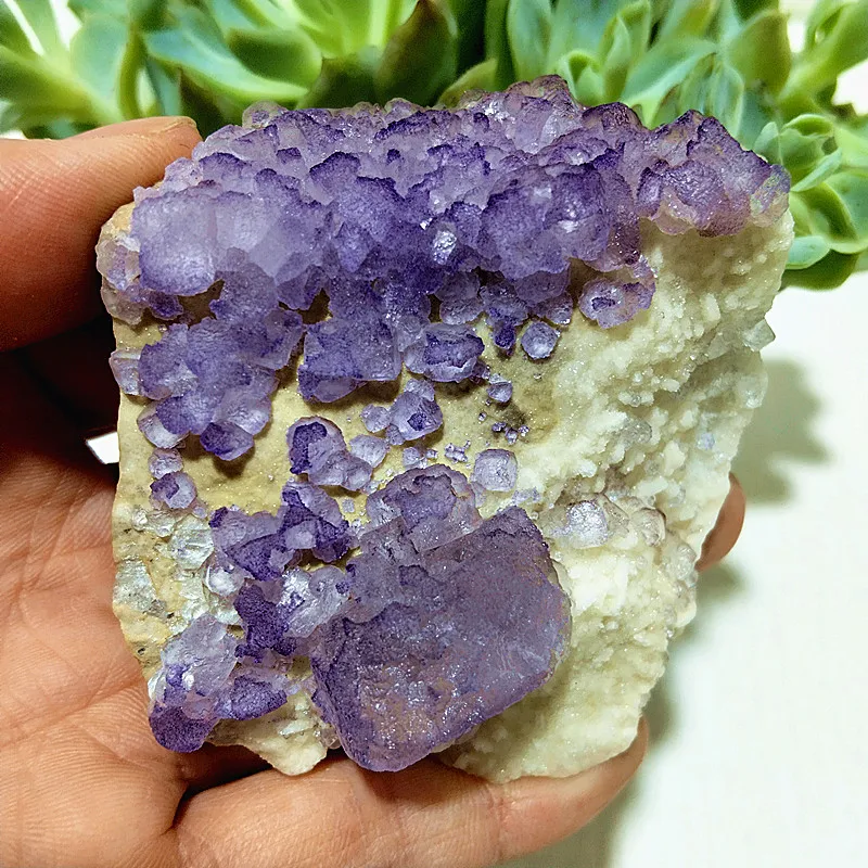 Natural Stones Purple Fluorite Crystal Granulate Clusters Paragenesis Ore Meditation Energy Feng Shui Crystal Room Ornament