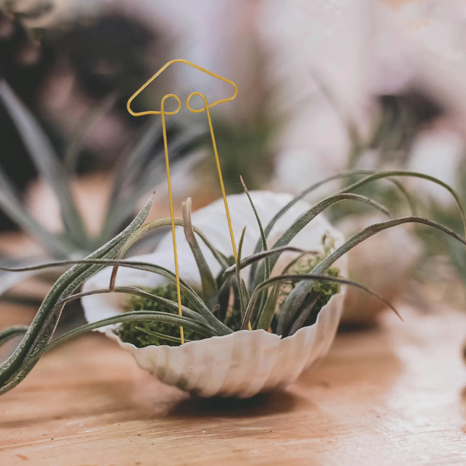 

Набор из 4 металлических опор для растений: прочные железные подставки для горшечных растений, цветов, овощей и садовых вьющихся растений