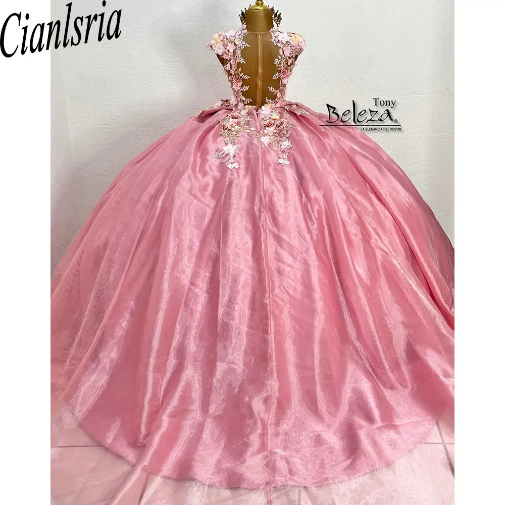 Vestido de baile floral rosa 3D Lace, vestidos Quinceanera, manga de ilusão, espartilho organza, doce 15