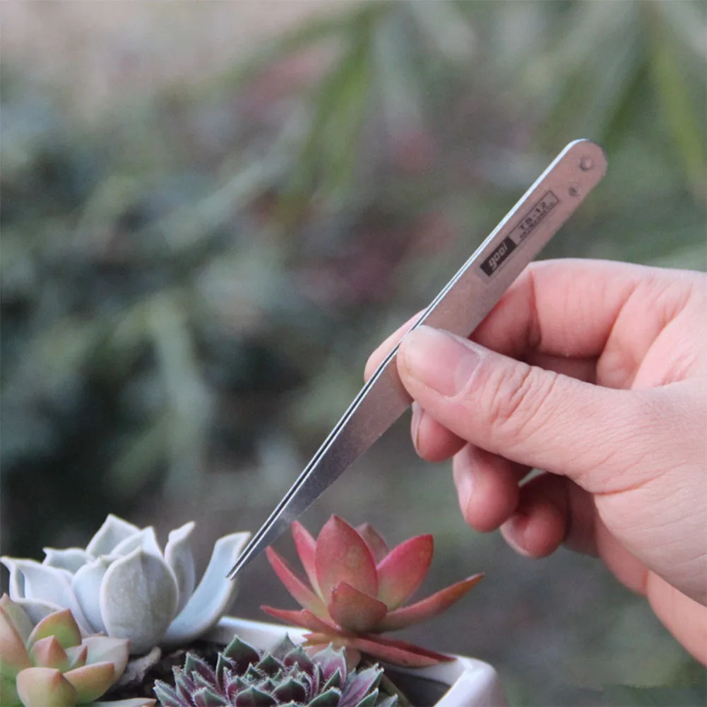 Pinças De Aço Inoxidável Para Capturar Sementeira De Insetos E Transplante, Ferramenta De Jardinagem