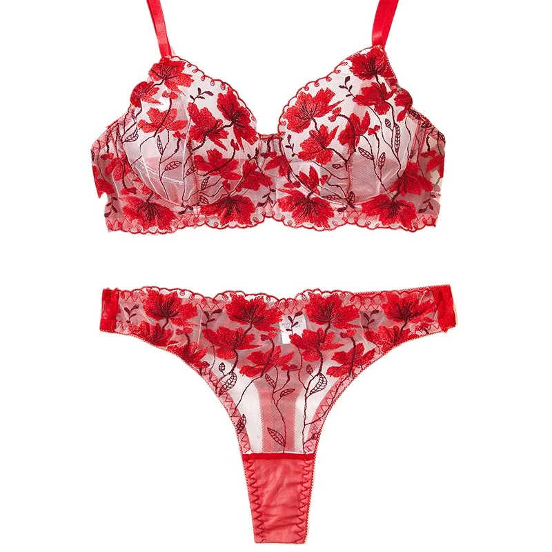 Nuovo reggiseno sexy in pizzo trasparente ultra sottile con ricami rossi, set di lingerie erotica trasparente.