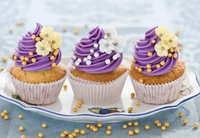 Axisflying OWL Black Light CVBS Coaxial HD Module FPV Camera with Wide Dynamic Range for Low Light Night Vision RC Drone Car