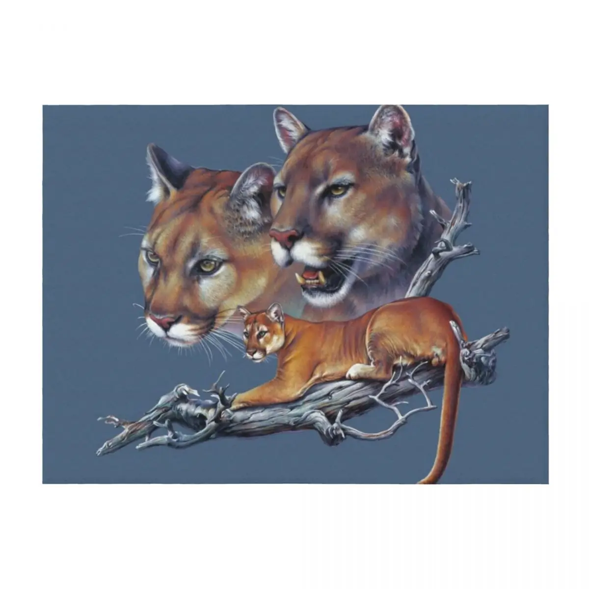 

Mountain Lions Throw Blanket christmas gifts Bed Summer Beddings Picnic Blankets