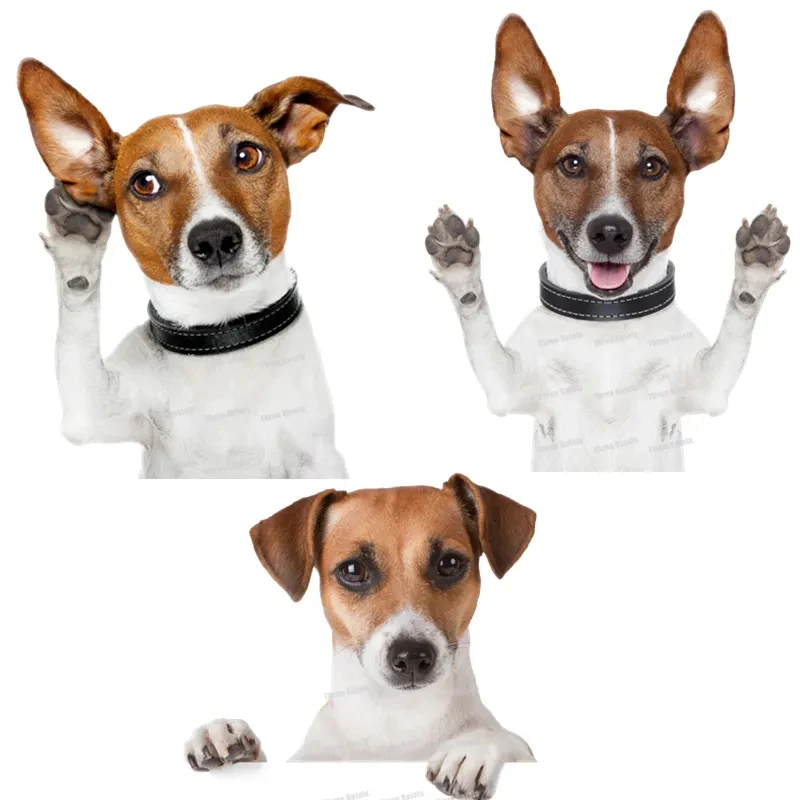 

J504# Funny Jack Russell Terrier Dog Motorcycle Bike Stickers Puppy Car Styling Waterproof Vinyl Decal