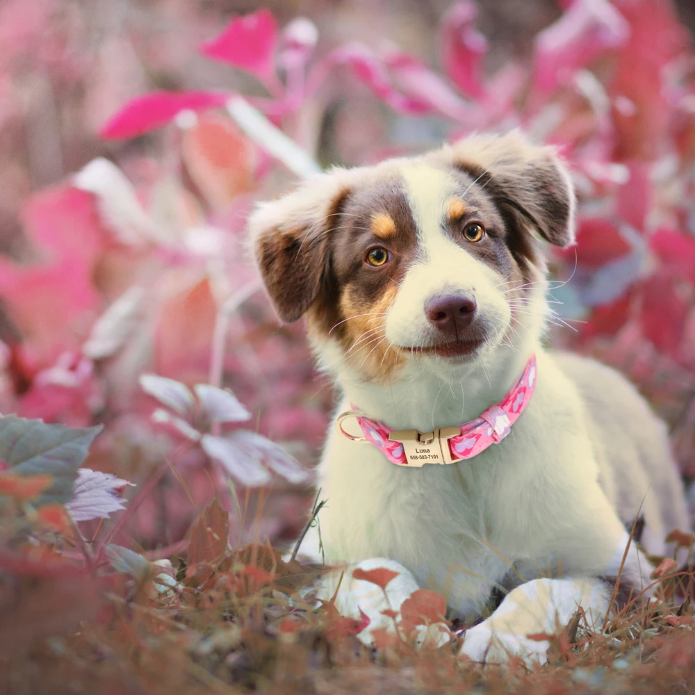 Personalisiertes Nylon-Hundehalsband mit Blumen- und Biene-Aufdruck, Welpenhalsbänder, kostenlose individuelle Haustier-ID-Halskettenhalsbänder für kleine große Hunde, Chihuahua – Detail 19