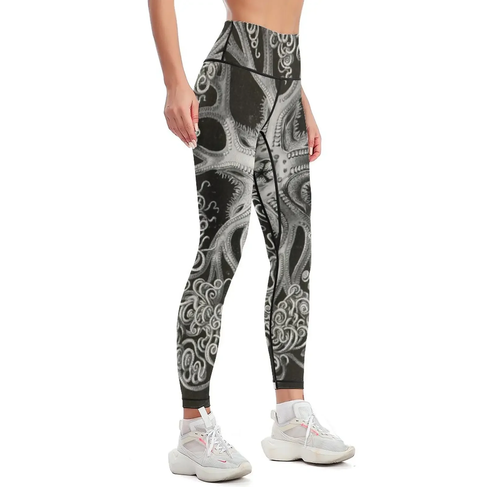 Ophiodea - Ernst Haeckel Leggings gym pants sports for Womens Leggings