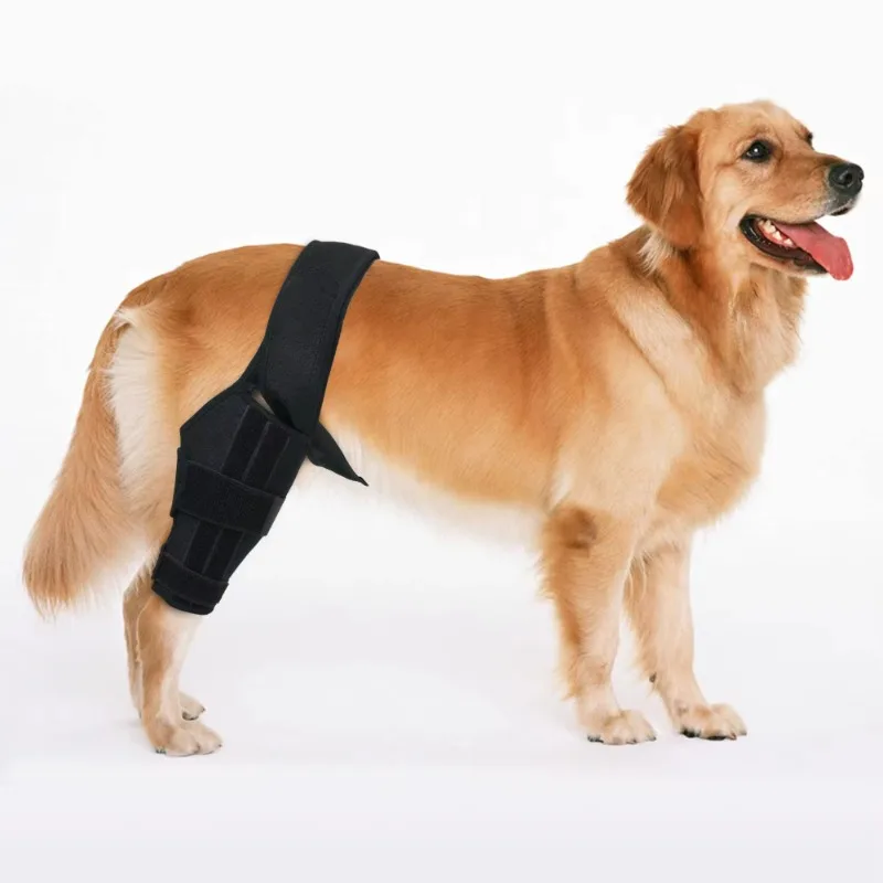 Neoprene Adjustable Injury Canine Cruciate Ligament Joint Knee Support Wrap Pet Dog Brace