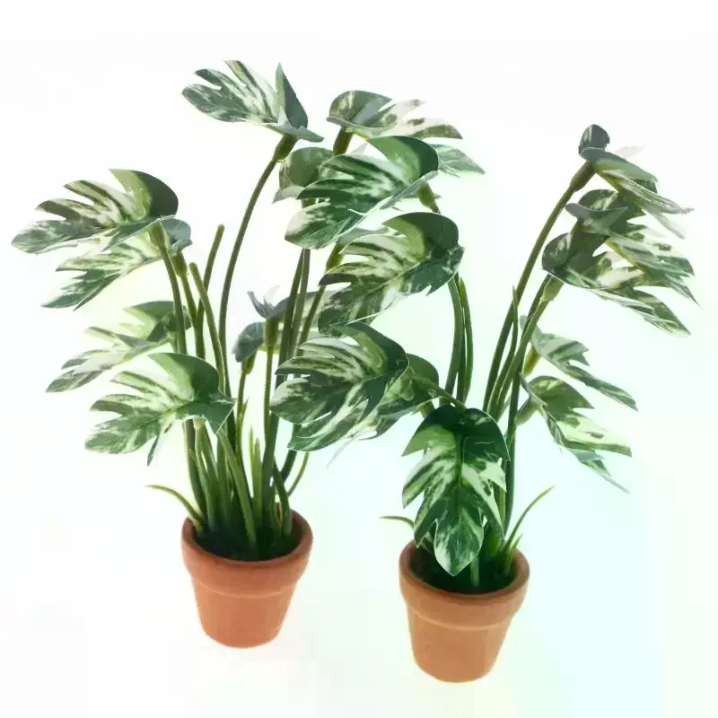 Miniatura de Planta Verde Mons - Bonsai Garden Europe avaliação e preço