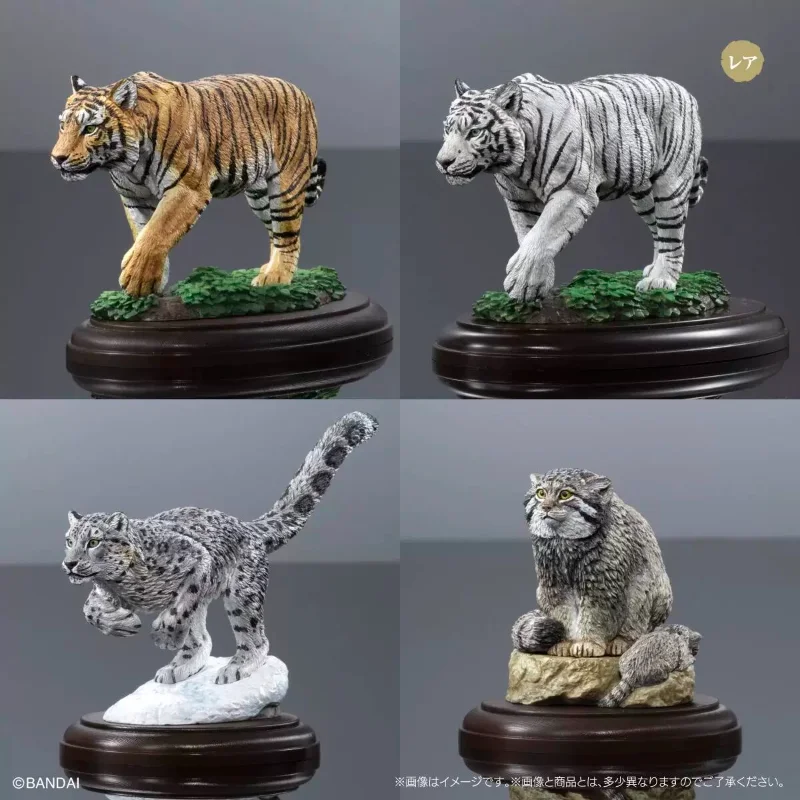 Bandai Ikimono Daizukan Wild Cats Tiger White Tiger Snow Leopard Pallas Cat Realistic Figure
