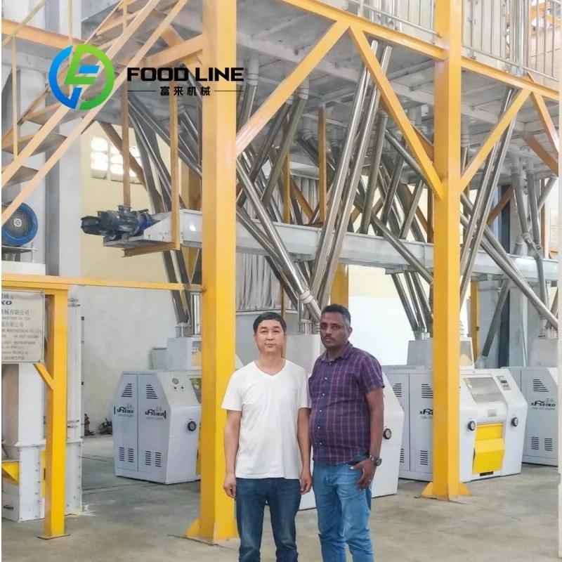 High Quality 82T Maize Roller Mill Maize Flour Machinery Corn Flour Machinery For Sale Customize
