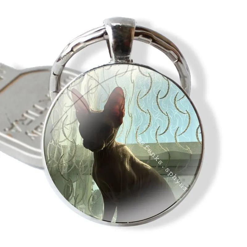 25mm Glass Cabohcon Keychain Key Rings for Women Men Jewelry Gift Canadian Hairless Beerus cat sphynx cat