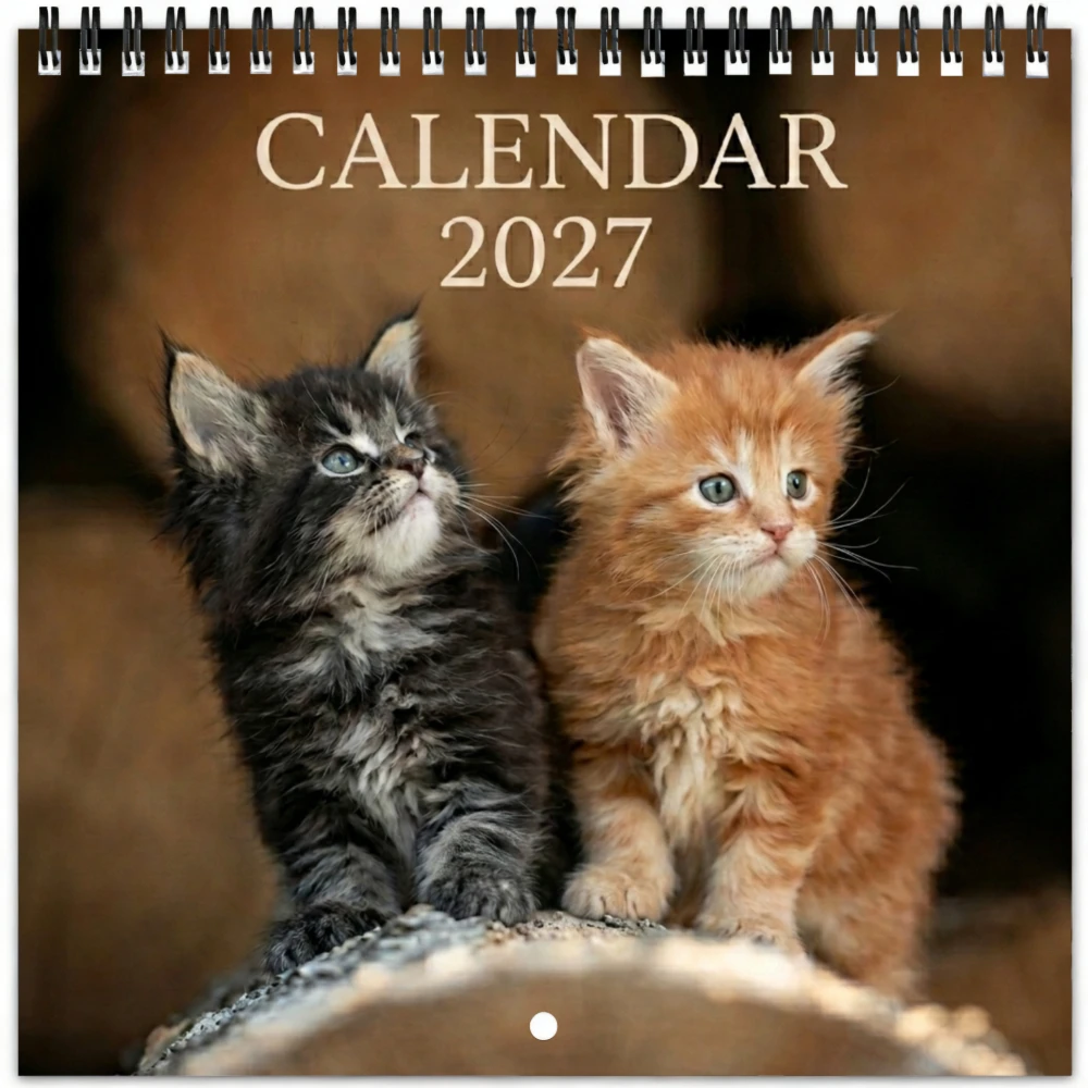 2027 Wall Calendar, 12-Month Cute Kittens Playing Design, Large Date Markings, Easy to Hang, Perfect Gift for New Year Holiday