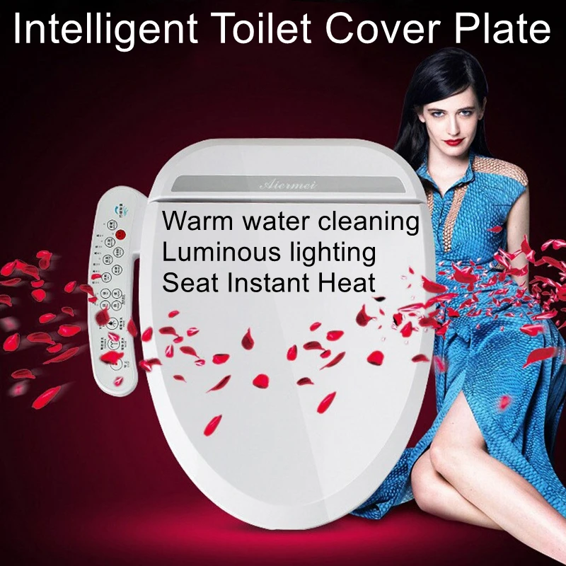 Intelligent toilet cover plate automatic heating warm water cleaning body cleanser intelligent toilet seat ring thermostat