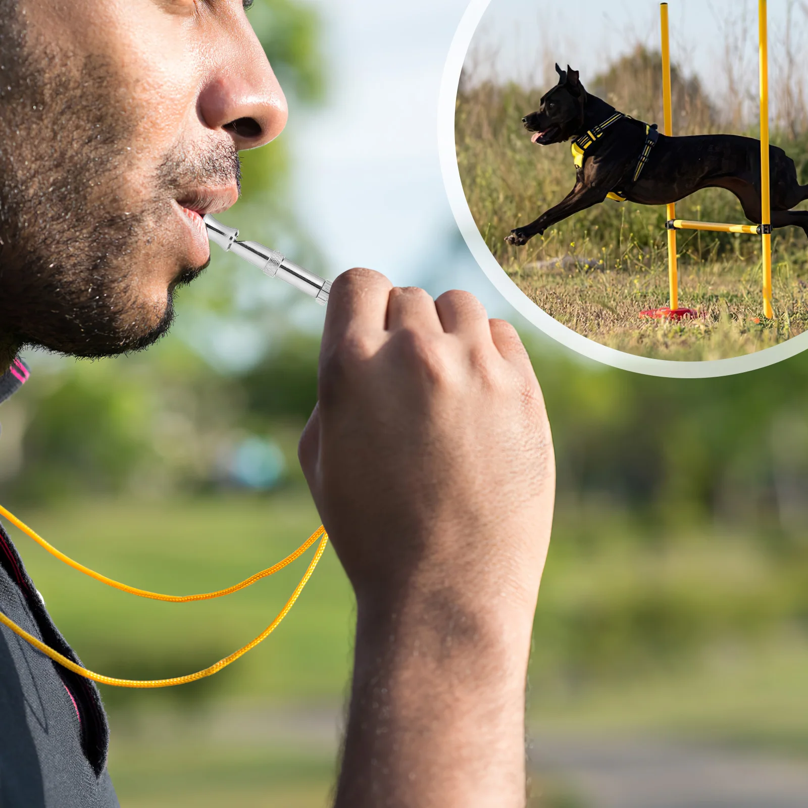 

Dog whistle Dog whistle training dog whistle dog trainer Dog trainer
