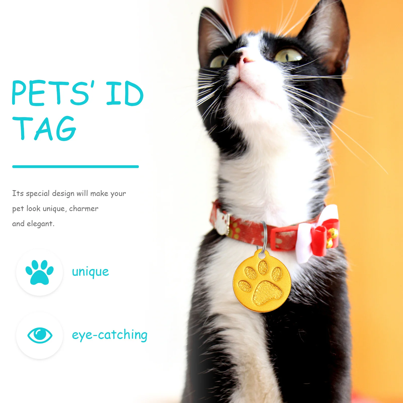 

3Pcs Dog Pendant Tag Personalized Pet Address Tags Metal Id Label for Cat Dog Name Phone Number Home Safe Outdoor Walking