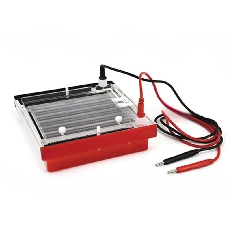 

Fast Gel Electrophoresis Instrument 200x100mm DYCP-44N YCP-44P Electrophoresis System Apparatus for Scientific Laboratory Use