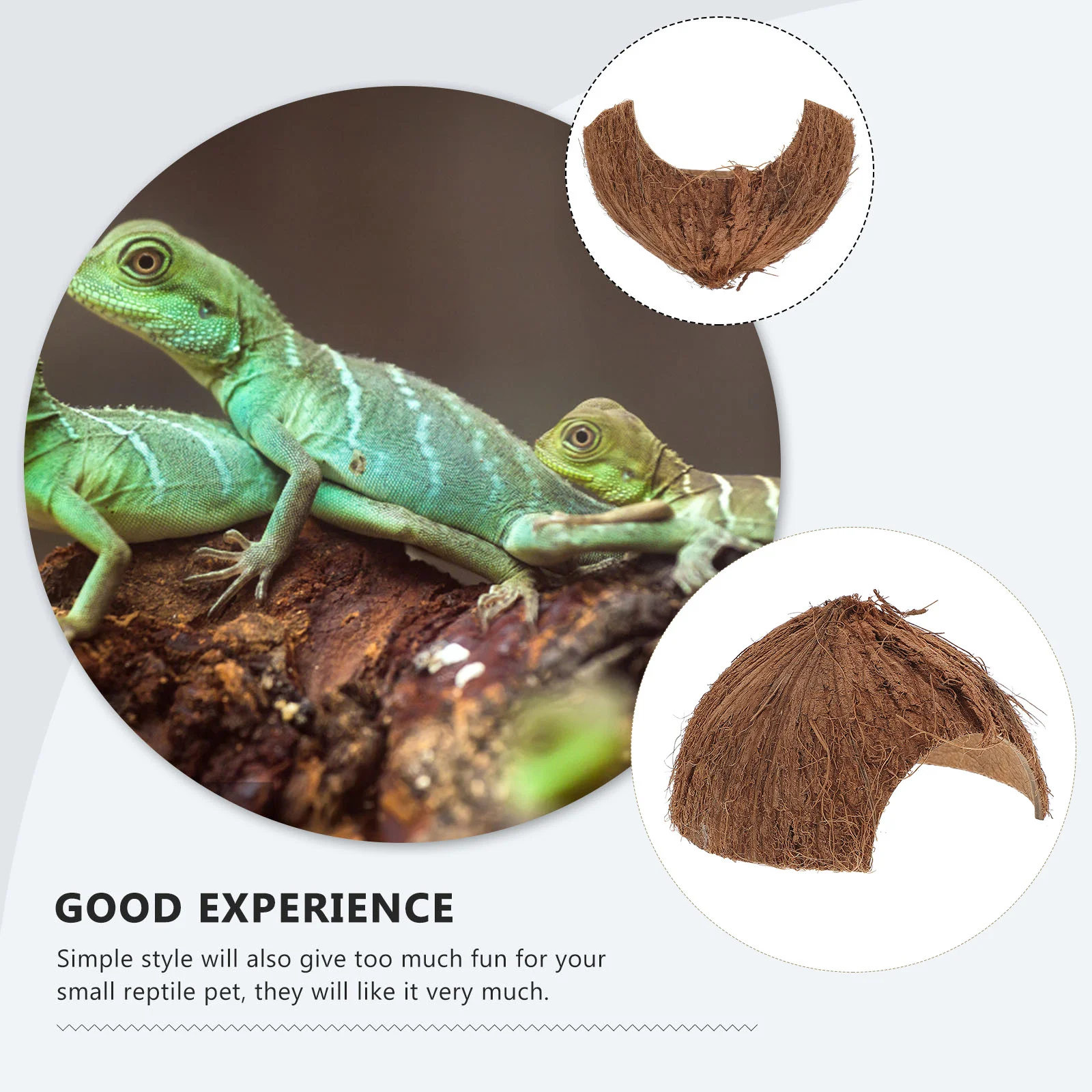 

1Pcs Natural Coconut Shell Small Pet Shelter Reptile Hiding Cave Durable Reptile Hideout Secure Safe 13cm Crawler Shelter