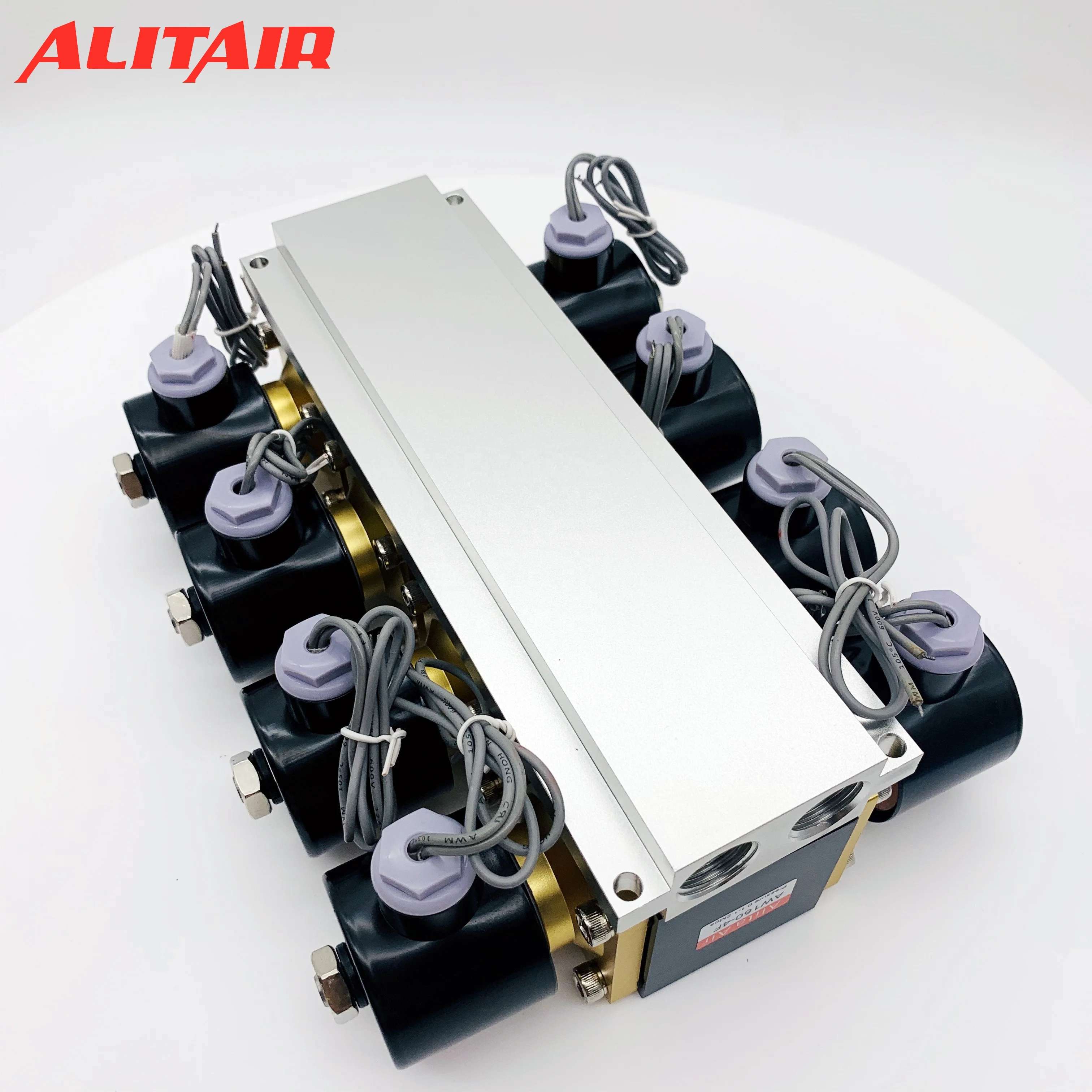 2W160-4F Air Ride Suspension Manifold 1/2