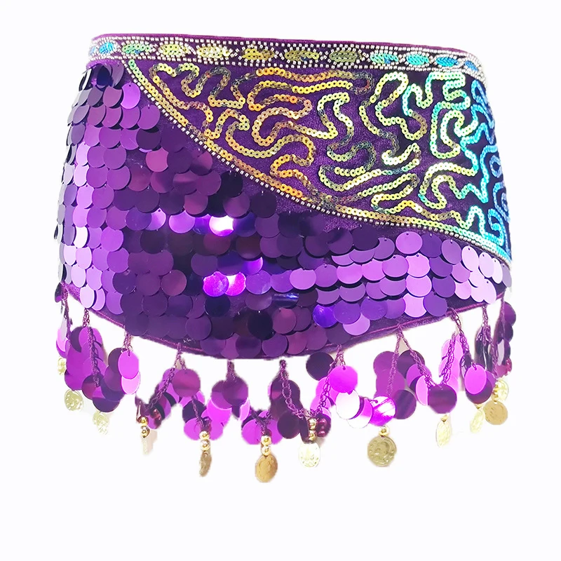 New Hanging Coin Sequins Belly Dance Belt Girl Costumes Hip Scarf for Women Belly Dancing Indian Dance wear Performance Outfit