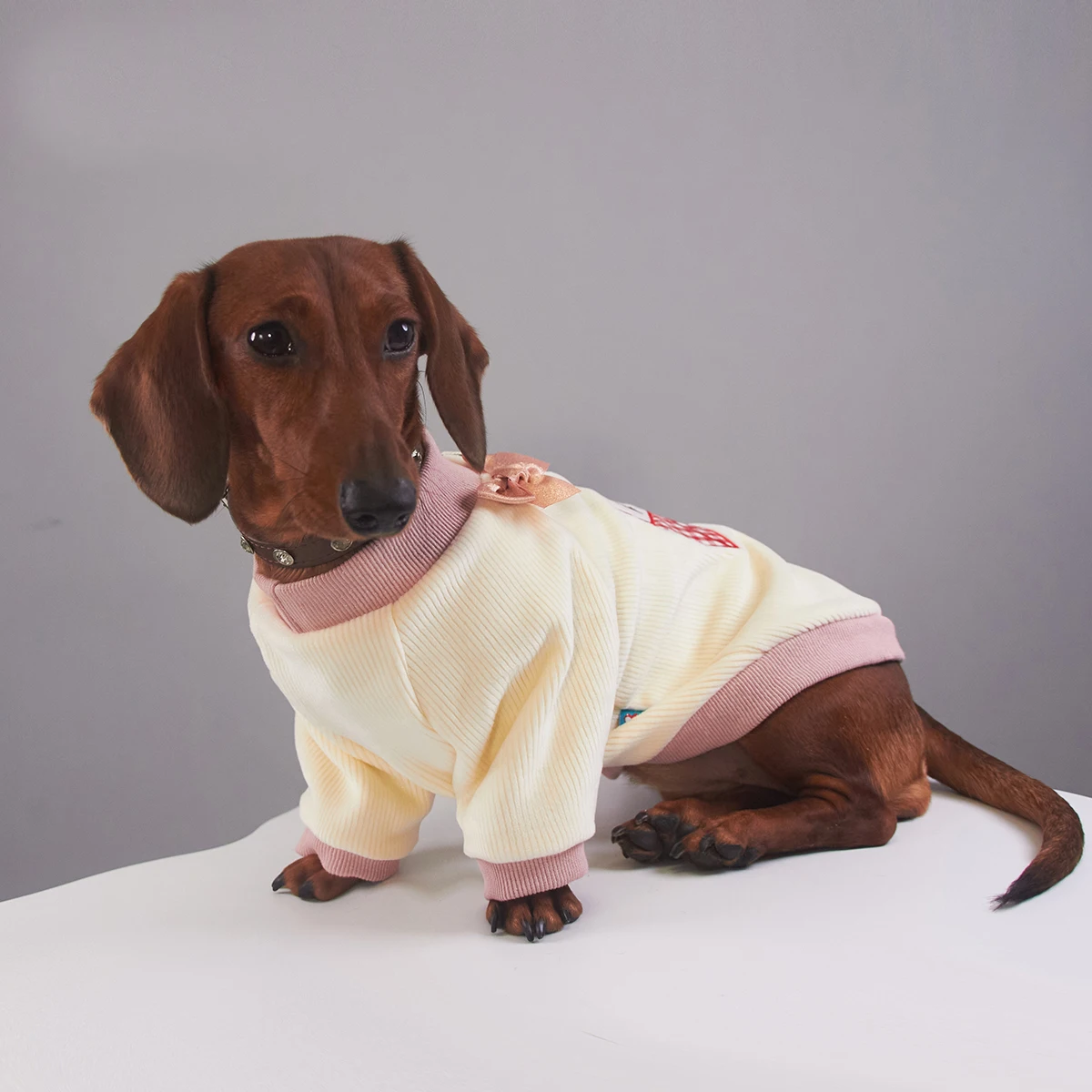 pijama-amor-rosa-para-caes-wiener-camiseta-quente-para-caes-de-texugo-casaco-de-moletom-doce-para-caes-dachshund-na-primavera-outono-e-inverno
