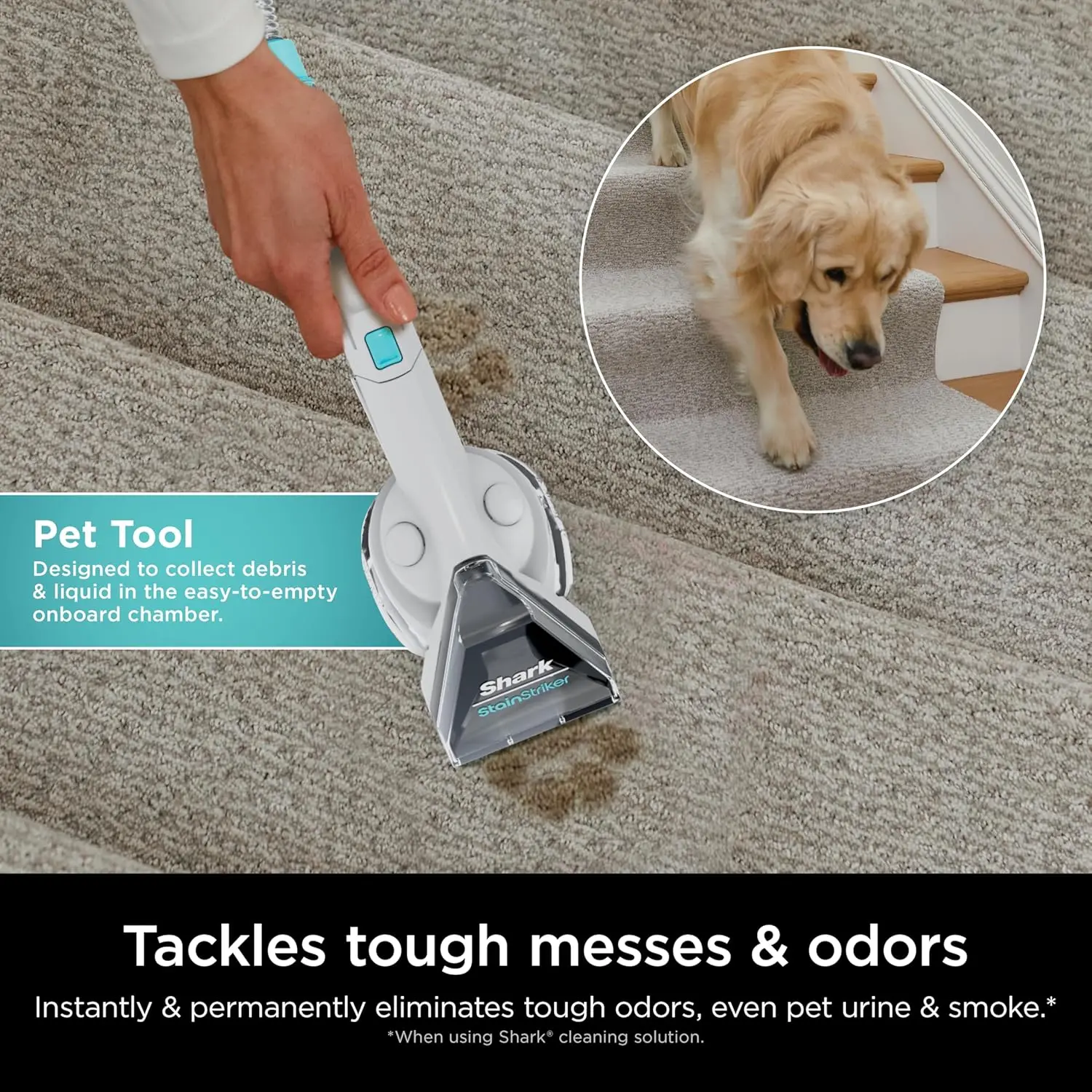 Upright Carpet, Area Rug & Upholstery Cleaner with Built-in Spot & Stain Cleaner, Perfect for Pets, Deep Cleaning