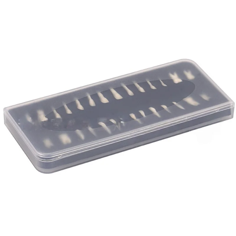 28 pcs Tooth Model High Quality Resin Simulation Tooth Grain Dental Model For Dentist Exam Preparation Teaching Practice