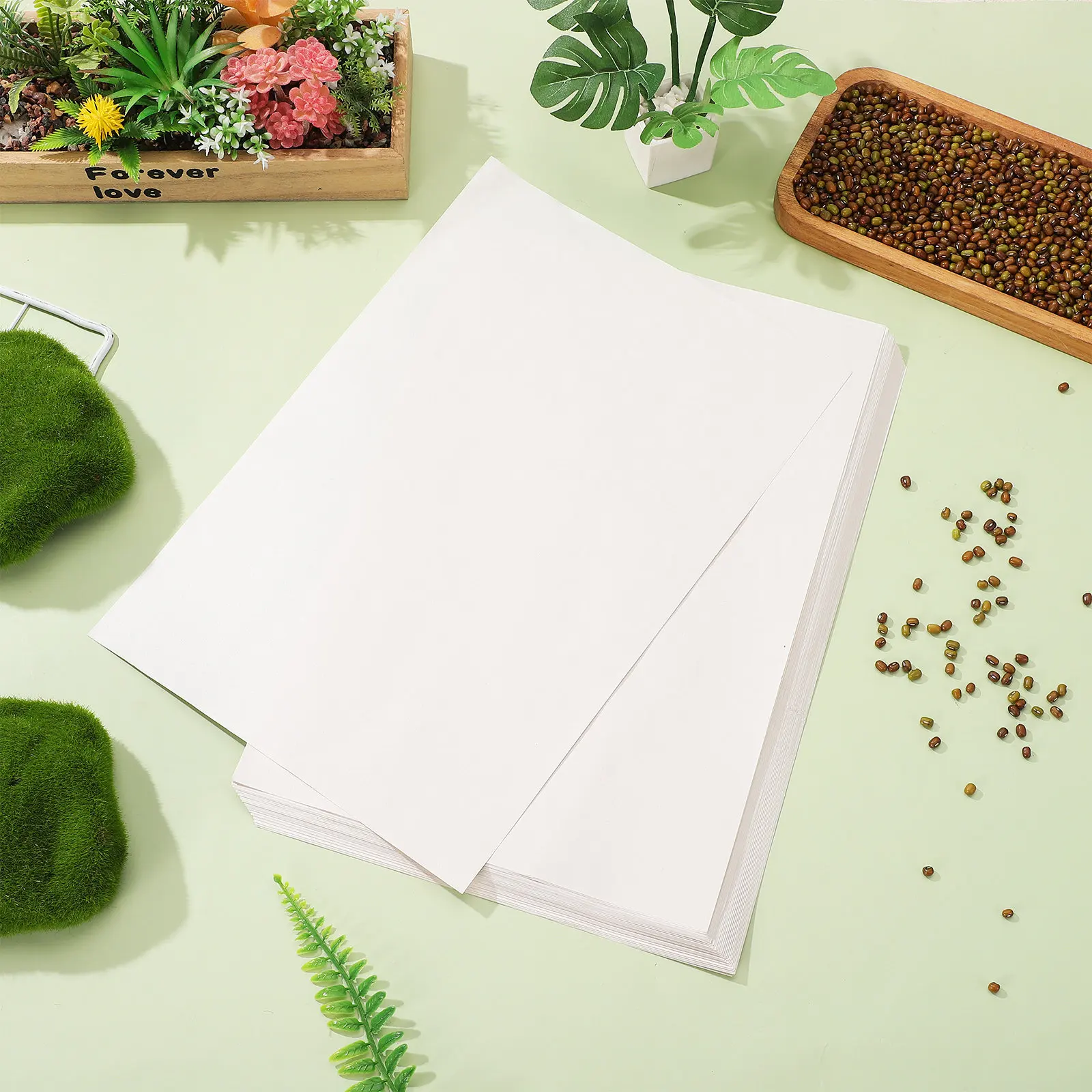 100Sheets Germinating Paper Professional Moisture Retaining Sprout Paper for Soybean Mung Bean Wheat Soilless Nursery Use