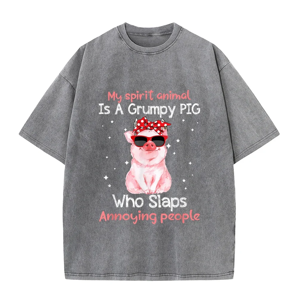 Men's T Shirts Pet Lover My Spirit Animal Is Grumpy Pig Funny T-Shirt Y2k Blue Marcas Lujo Multi Color Tee Shirt Plus Size Top