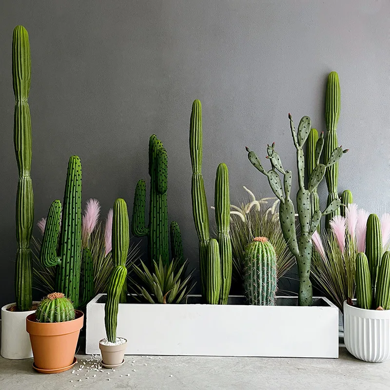 

Simulated Green Plants, Fake Cactus, Cactus, Cactus, Large Indoor Window Layout, Landscaping, Simulated Plants