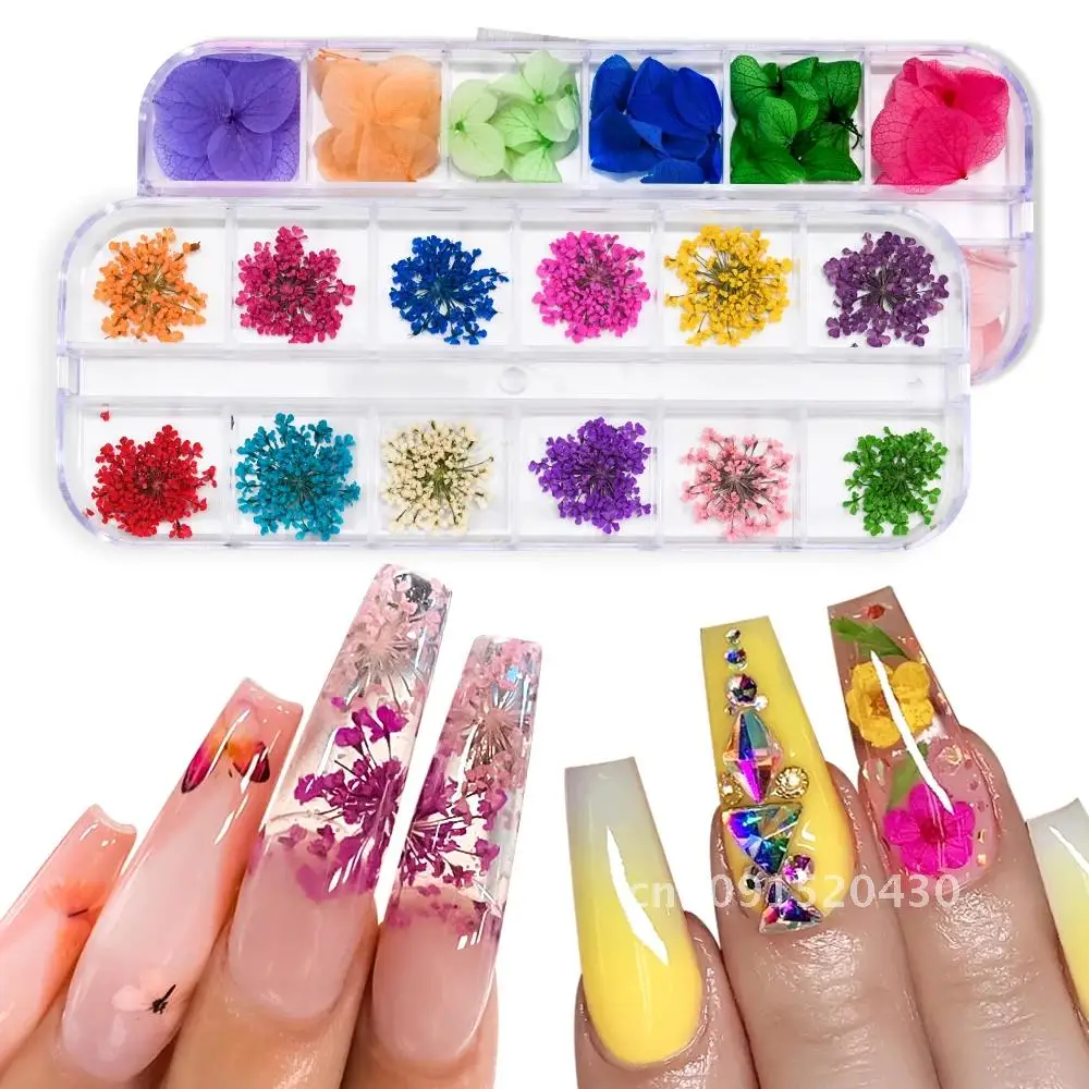 12Grids/Box 3D Dried Flowers Nail Charms Real Natural Floral Stickers DIY Nail Art Decorations Manicure Jewelry Design For Nails