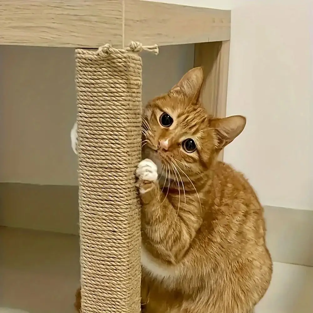 1Roll Durable Tree Scratching Post Natural Sisal Rope Toy Cats Paw Claw DIY Cat Scratcher Rope 10M 4mm/6mm Furniture Protector