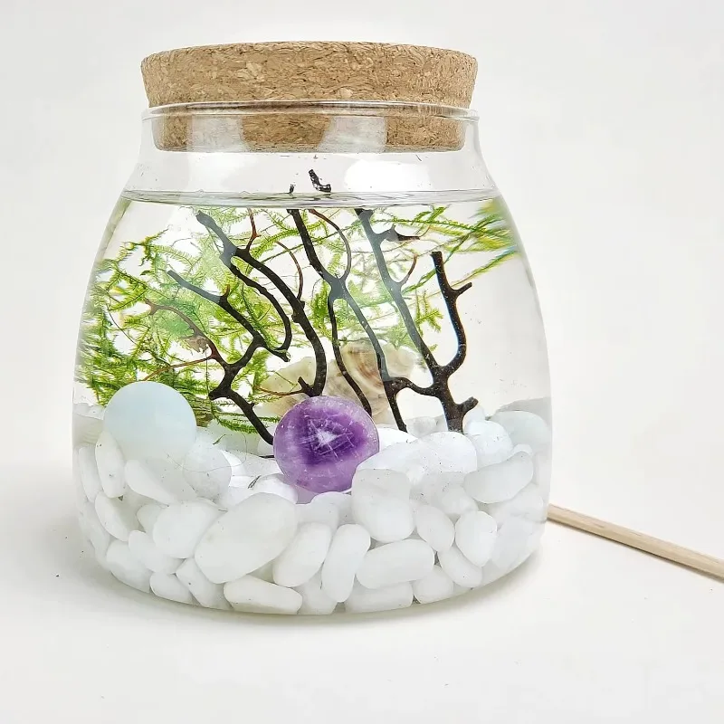 Ro Mini DIY Crystal Ball Moss Glass Container Craft Kit