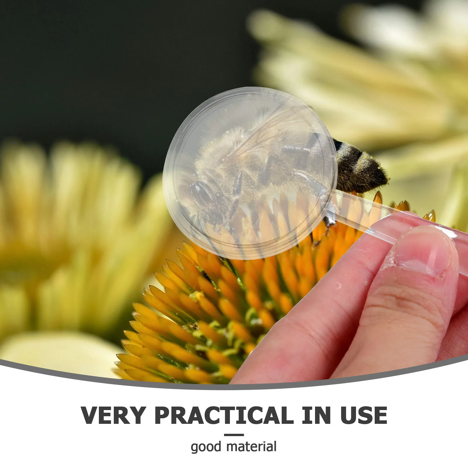 แว่นขยายพกพาสำหรับเด็ก 20 ชิ้น สำหรับการสังเกตทางชีวภาพกลางแจ้ง การอ่าน และการสำรวจทางวิทยาศาสตร์