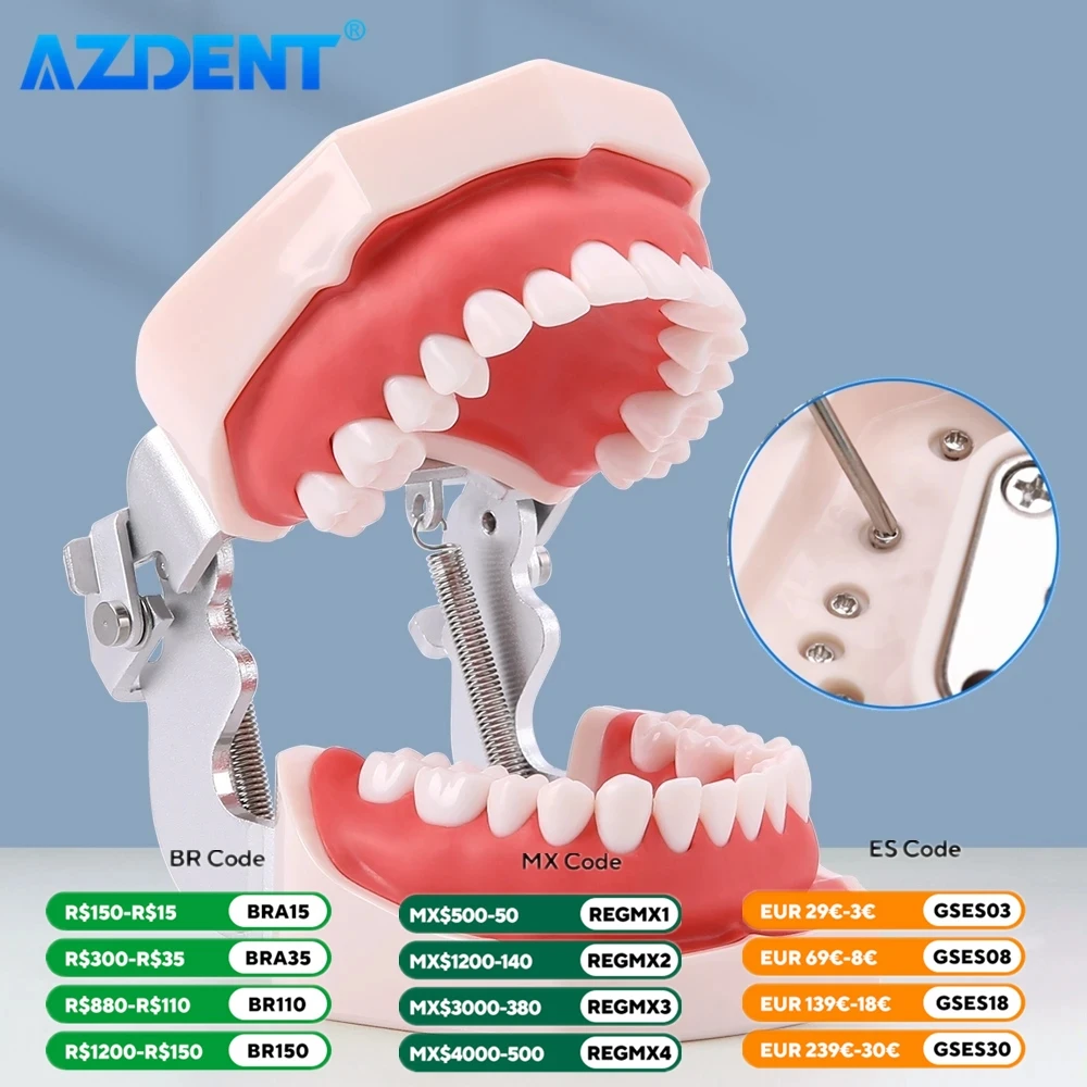 Dental Resin Model Removable Training Typodont AZDENT Teeth Model for Dentists Practice Adults Children Dentistry Equipment