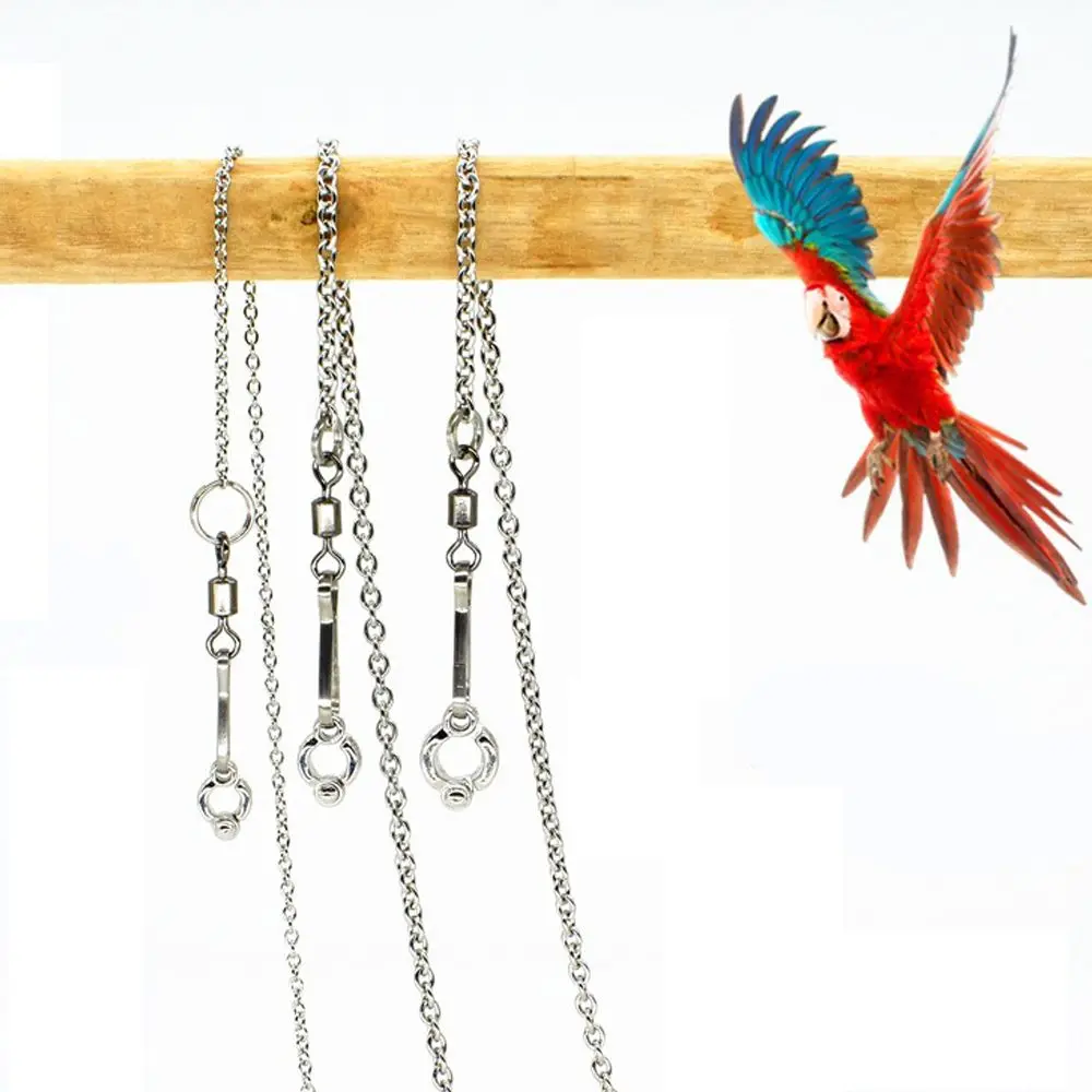 Bird Accessories Safe Stainless Steel Ankle Foot Ring Parrot Foot Chain Stand Chain Bird's Foot Ring Anklet