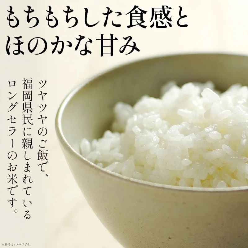 فوكوكا بريف. سعة 5 كجم للاختيار أرز يومي تسوكوشي أرز أرز أرز أرز أرز أرز أرز أرز أرز أرز أرز أرز أرز لذيذ لذيذ #3