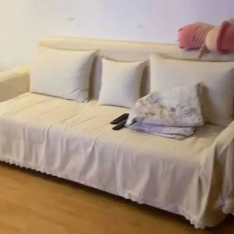 أريكة غرفة المعيشة الفاخرة تخزين مزدوج مقعد الحب الأبيض أريكة سرير نهاري الشمال الحديثة مصمم موبليس الفقرة Dormitorio أثاث المنزل