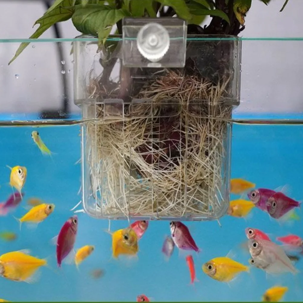 

Держатель для аквариумных растений Healthy Growth, как на фото, прозрачный, эстетичный, элегантный декоративный элемент