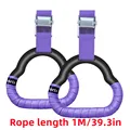 1M purple