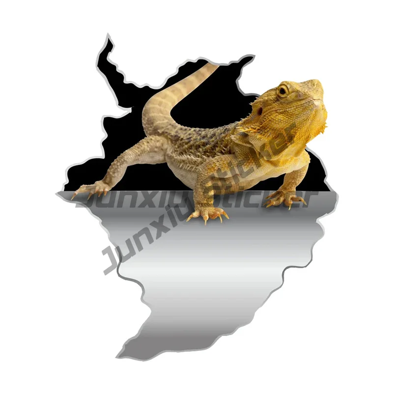 Car Sticker Pet Animal Waterproof Vinyl Decal Car Accessories Decor Pegatinas Para Coche