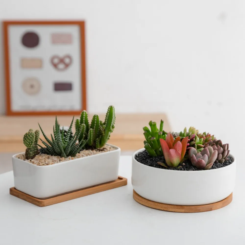 Ceramic Succulent Plant Flowerpot Simple Solid Color White Porcelain Flowerpot Refreshing Combination Pot