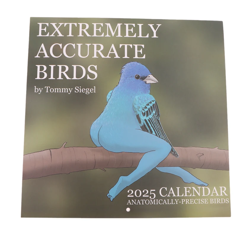 2025 Extremely Accurate Birds Calendar Decorative Wall Monthly Calendar For Bird Lovers Room Wall Calendars For Bedroom Office