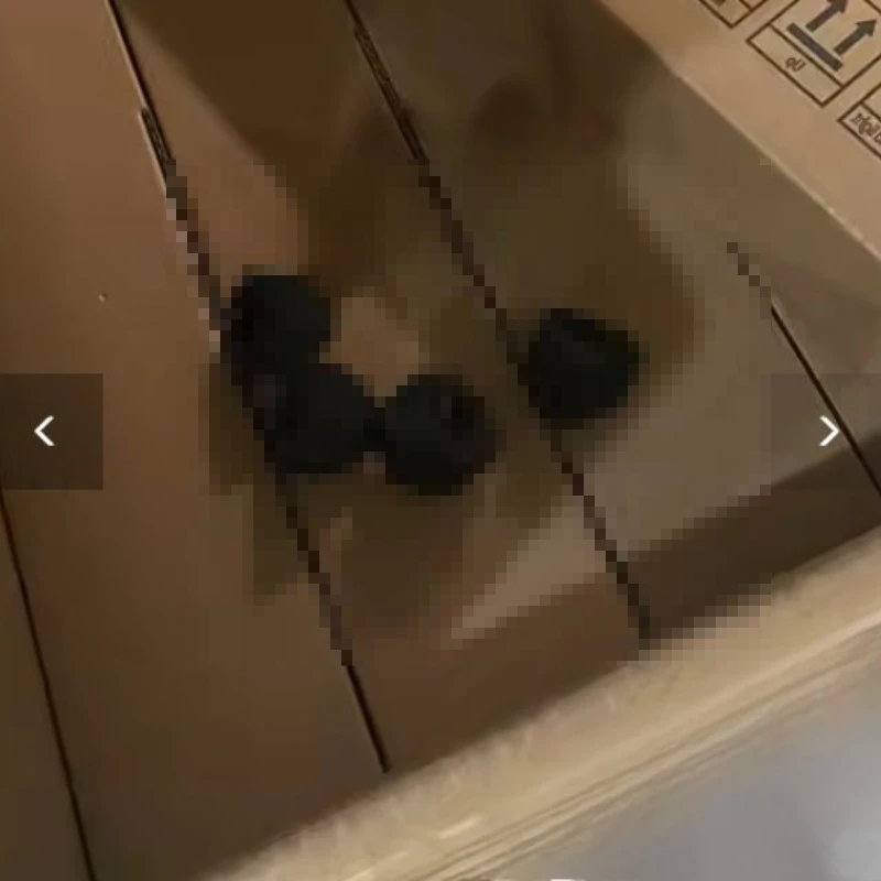 10X for Ricoh SR3030 SR840 SR970 1075 2075 2105 1357 1107 MP 7000 7500 8000 8001 B830-3503 B478-3503 Sponge Gathering Roller