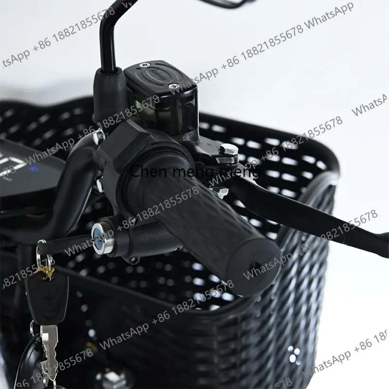 hot selling Electric Delivery Bike Popular Supplier 1000w 800w Electric Motor Bike Fast Electric Bicycles for Adults - view 3