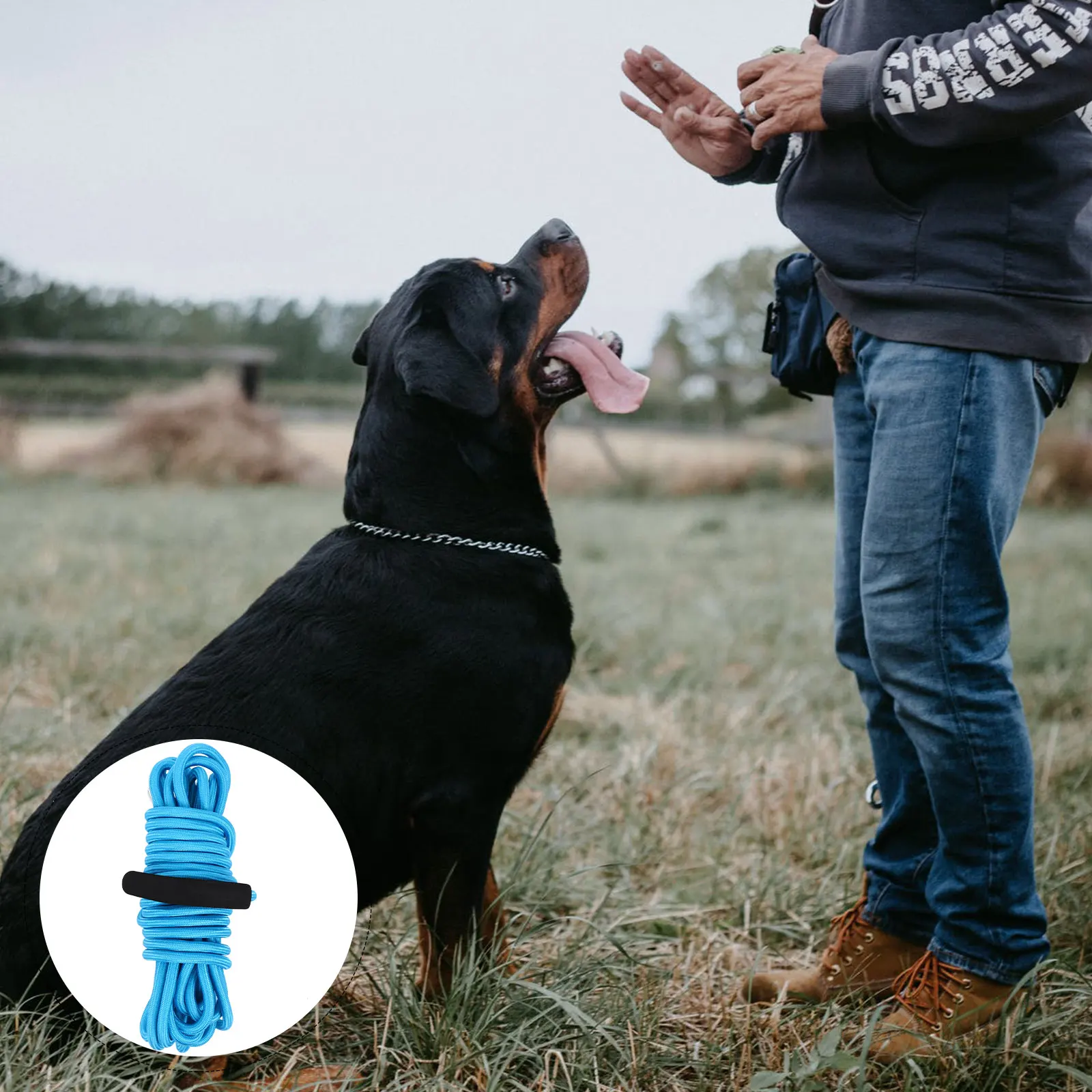 

5 Meter Heavy Duty Dog Leash Thick Nylon Pet Rope For Walking Training Durable Comfortable Handle Shock Absorbing Outdoor Leash