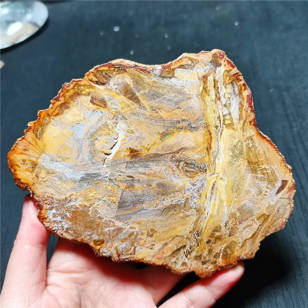 Natural woodstone crystal quartz slices, energy gemstones, spiritual healing, home and office decoration, demagnetization, purif